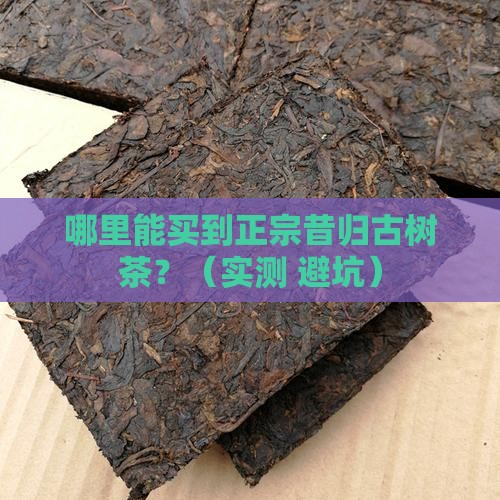昔归古树茶在哪