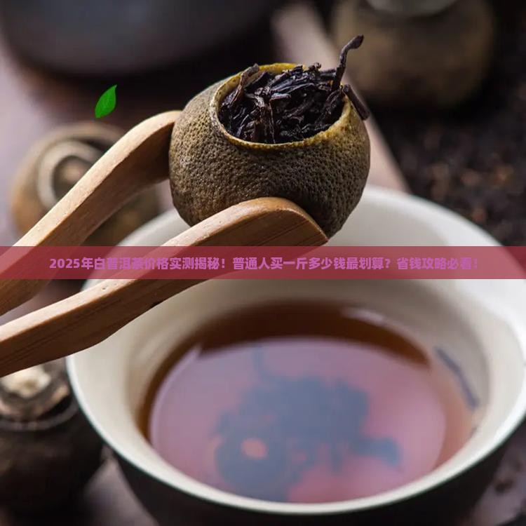 白普洱茶多少钱一斤合适