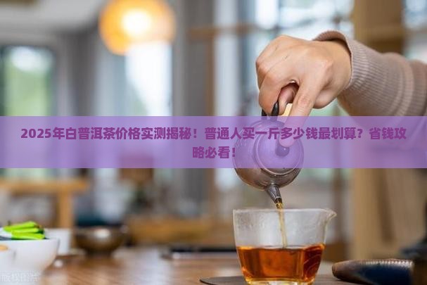 白普洱茶多少钱一斤合适