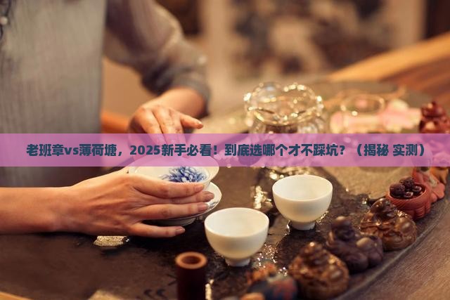 老班章vs薄荷塘