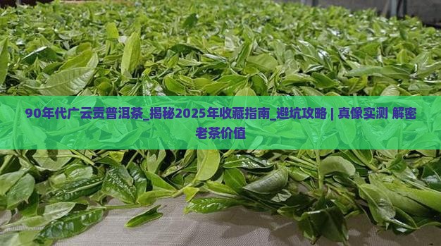 90年代广云贡普洱茶