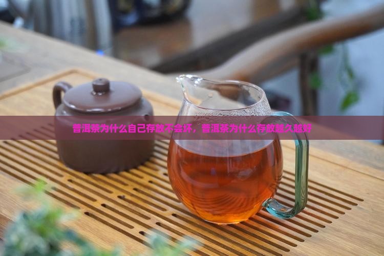 普洱茶为什么自己存放不会坏