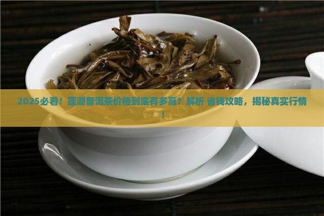 莲湖普洱茶价格多少钱一斤 莲湖普洱茶价格多少钱一斤