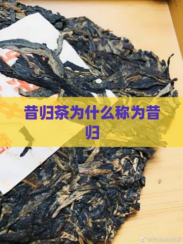 昔归茶为什么称为昔归 昔归茶为什么称为昔归