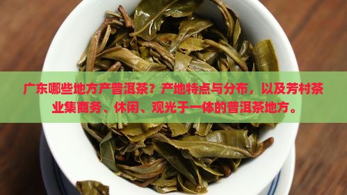 广东也产普洱茶的地方有哪些