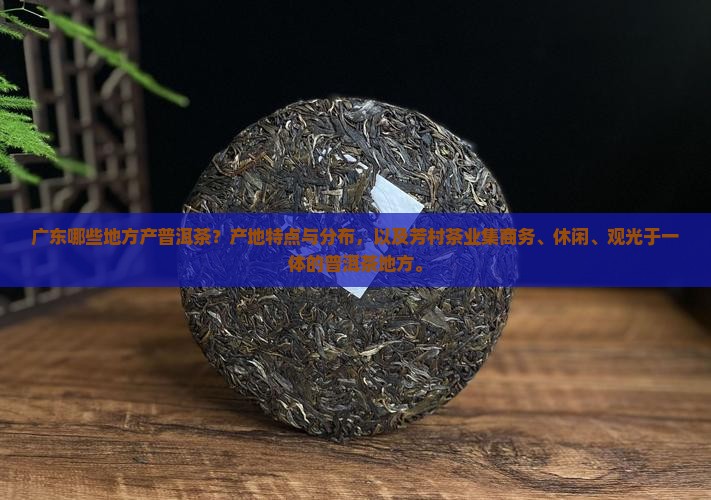 广东也产普洱茶的地方有哪些