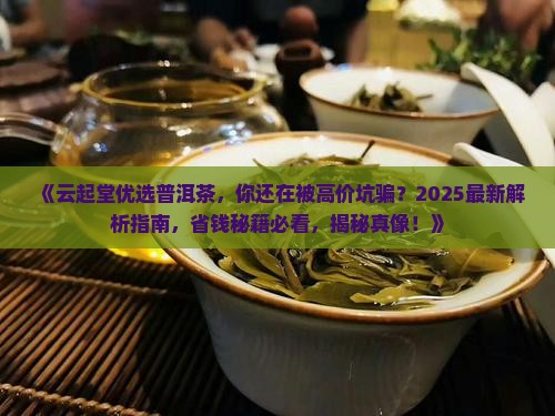 云起堂优选普洱茶