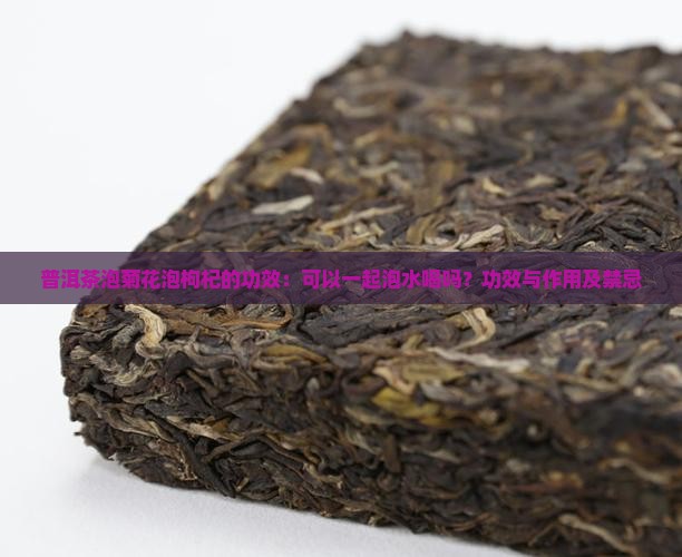 普洱茶泡菊花泡枸杞的功效