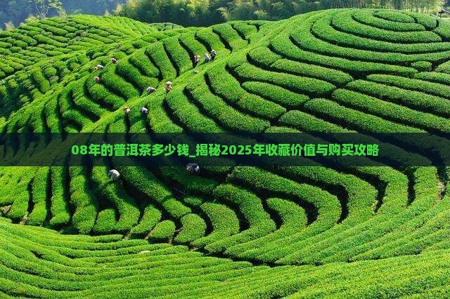 08年的普洱茶多少钱