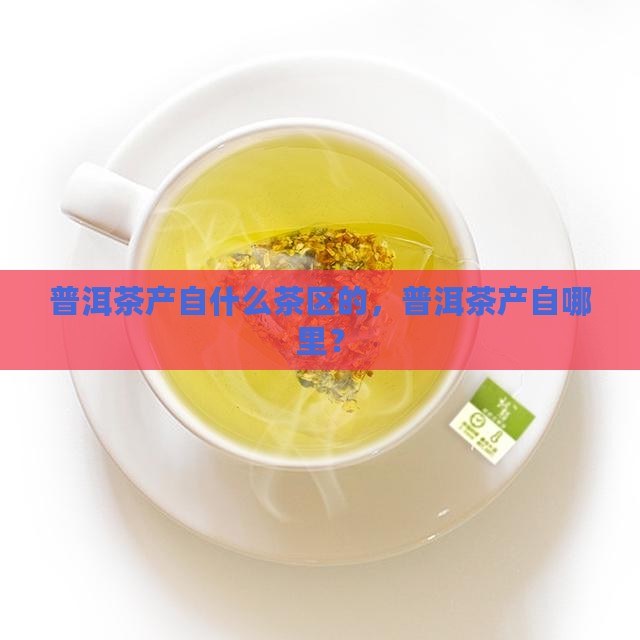 普洱茶产自什么茶区的