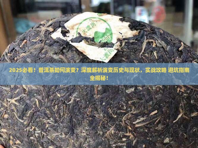 普洱茶如何演变