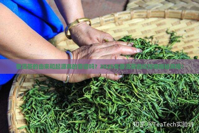 普洱茶的由来和起源