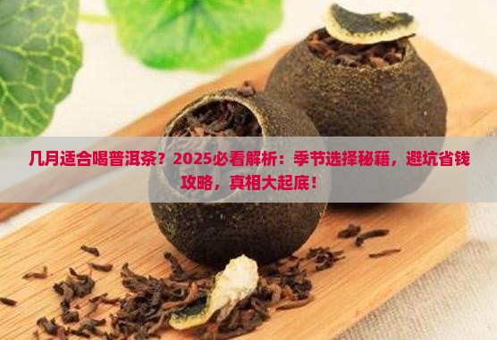 几月适合喝普洱茶