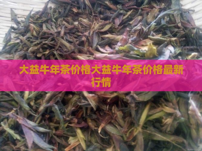 大益牛年生肖茶价格