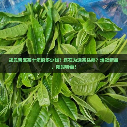 戎氏普洱茶十年的多少钱