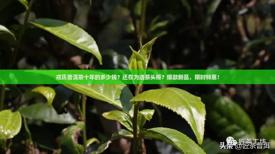 戎氏普洱茶十年的多少钱
