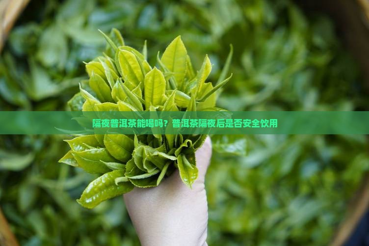 泡了一天的普洱茶能喝吗