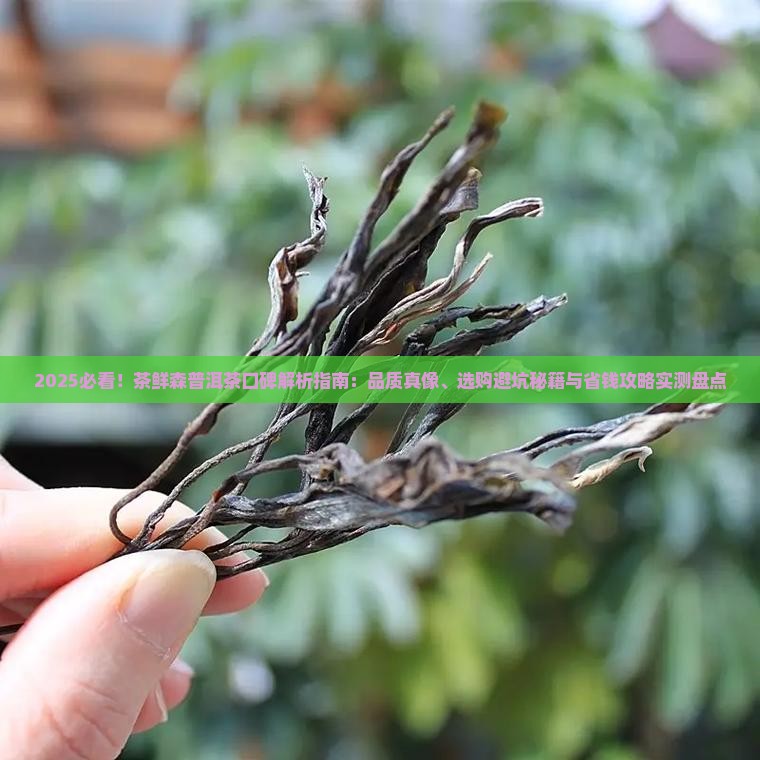 茶鲜森普洱茶口碑