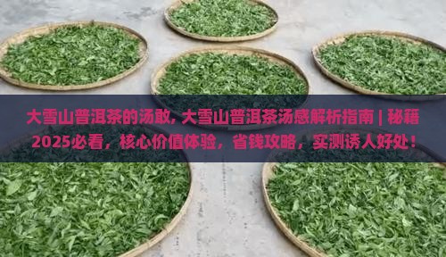 大雪山普洱茶的汤敢