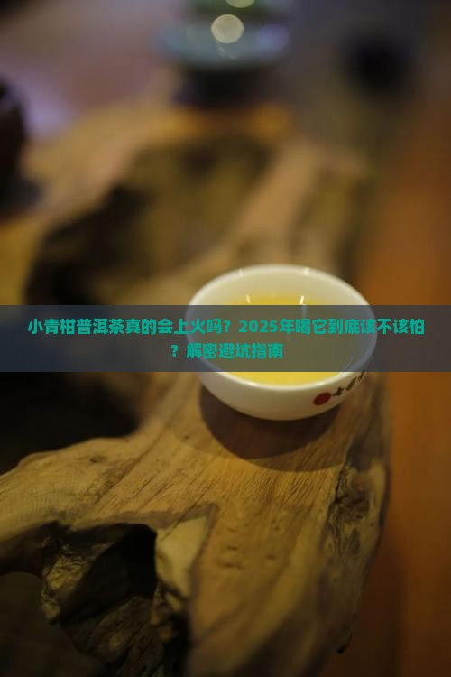 小青柑普洱茶上火还是下火