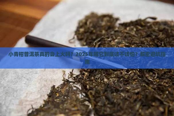 小青柑普洱茶上火还是下火