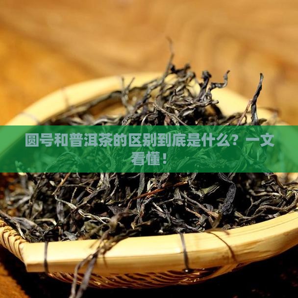 圆号和普洱茶的区别