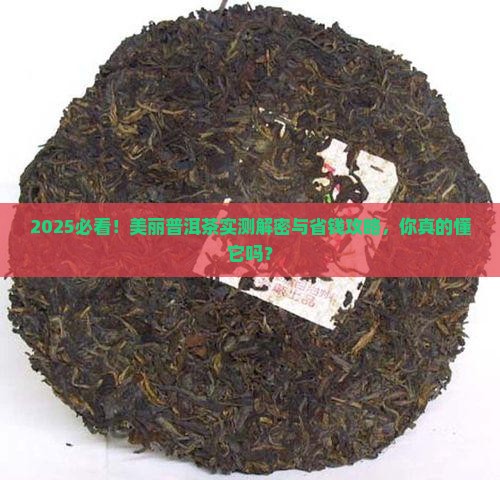 美丽普洱茶短文