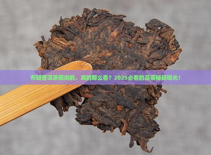 布朗普洱茶御尚韵