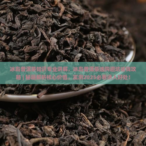 冰岛普洱茶知识专业讲解