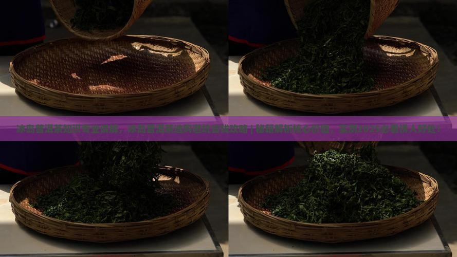 冰岛普洱茶知识专业讲解