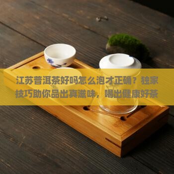 江苏普洱茶好吗怎么泡才正确