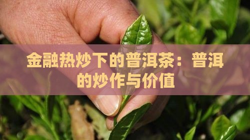 被炒作的普洱茶都在广东