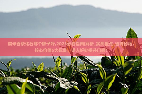 糯米香茶化石哪个牌子好