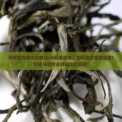 河南普洱茶供应商