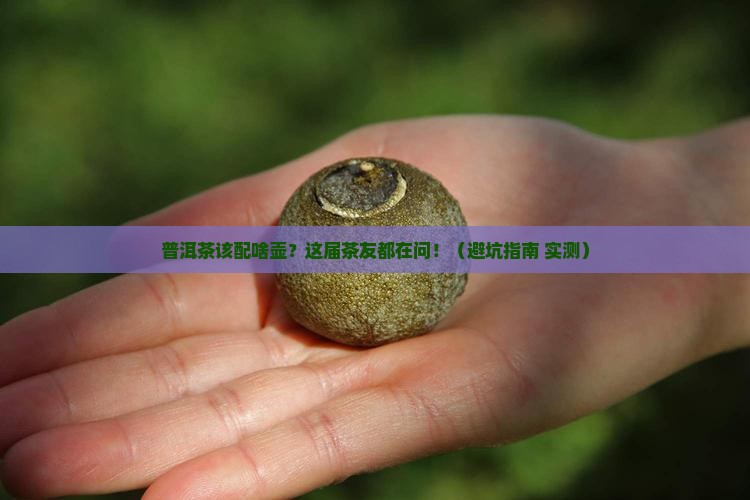 普洱茶适合哪种材质的壶