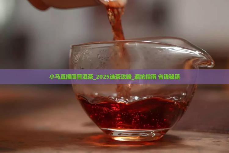 小马直播间普洱茶