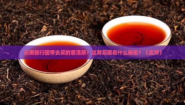 云南旅行团带去买的普洱茶