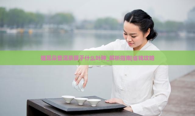 猫耳朵普洱茶属于什么叶种