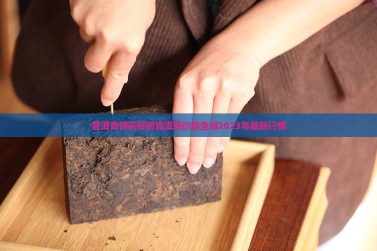 普洱青饼茶好的普洱茶价格查询
