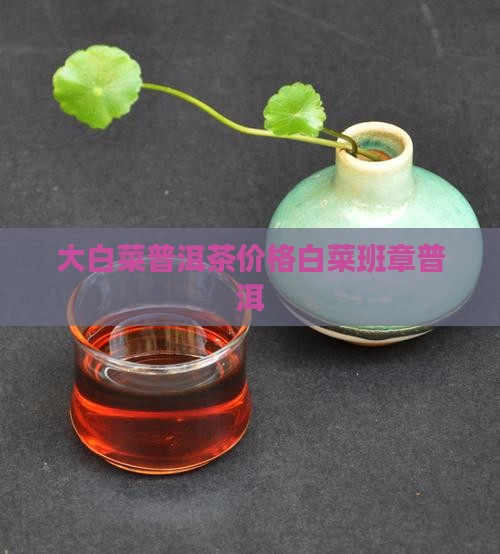 雨善号普洱茶报价白菜班章普洱