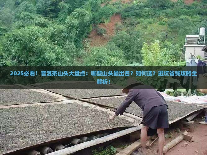 哪些山头的普洱茶有名
