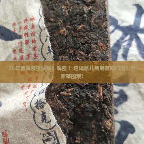 76年普洱茶虫屎茶