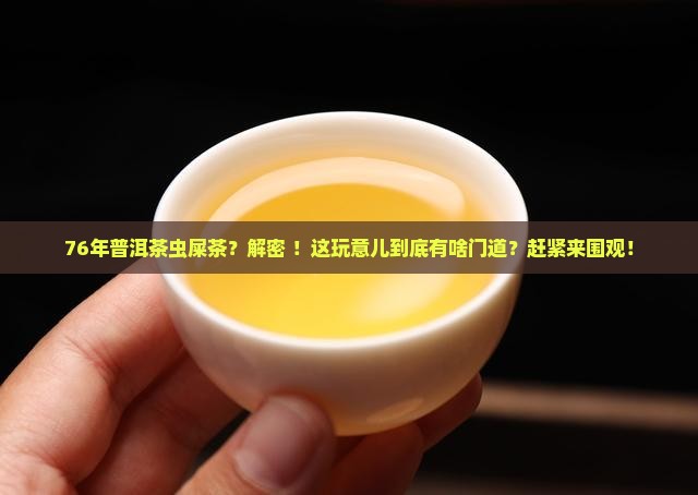 76年普洱茶虫屎茶