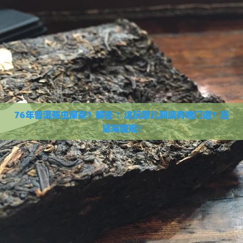76年普洱茶虫屎茶