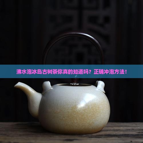 沸水泡冰岛古树茶
