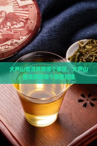 大芦山普洱茶属哪个茶区