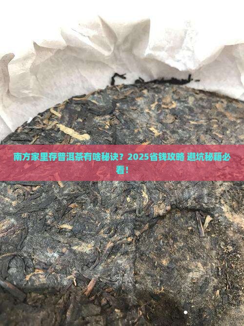 南方家里怎么样存放普洱茶