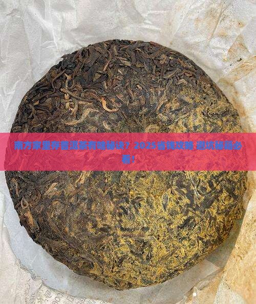 南方家里怎么样存放普洱茶