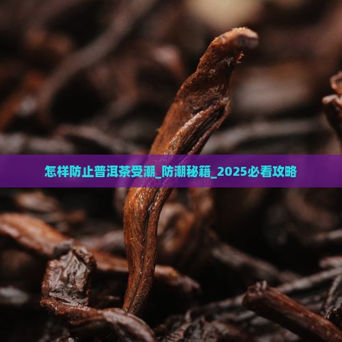怎样防止普洱茶受潮