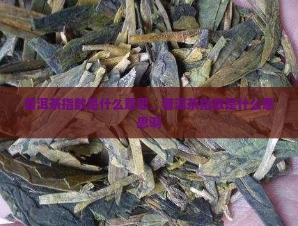 普洱茶指数是什么意思